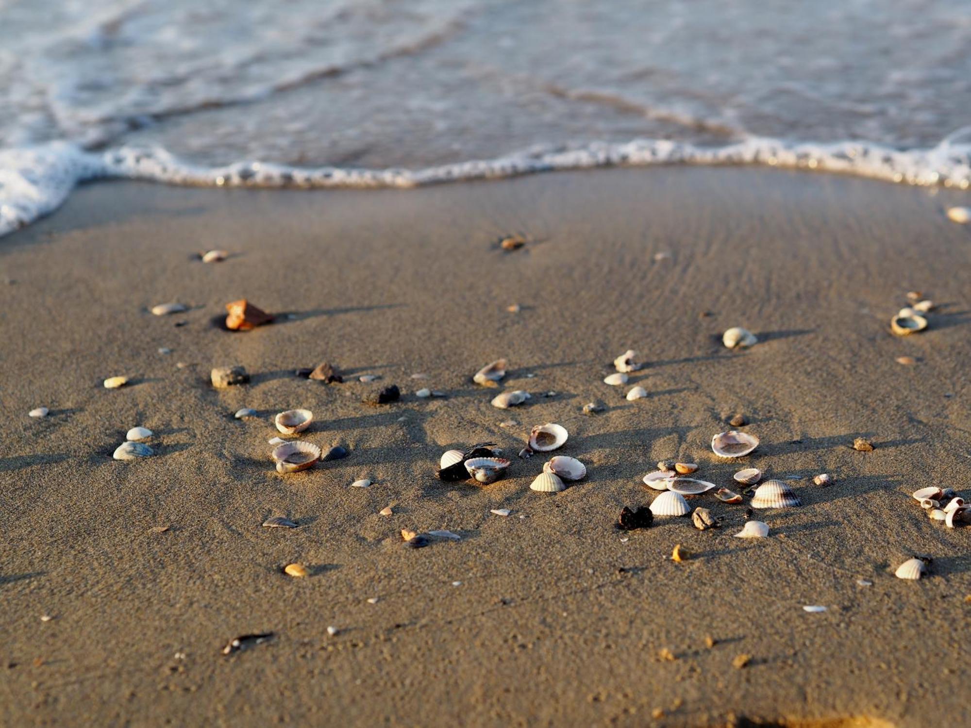 Appartamento Lovely Flat Next To Lido Dei Pini - Beahost Bibione