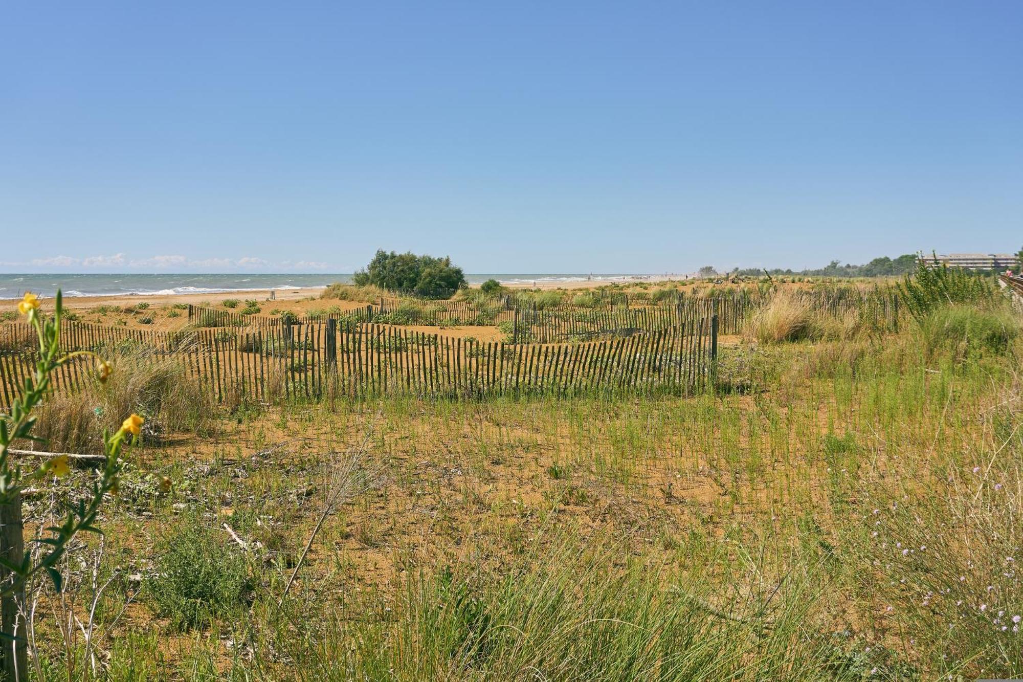 Lovely Flat Next To Lido Dei Pini - Beahost Appartamento