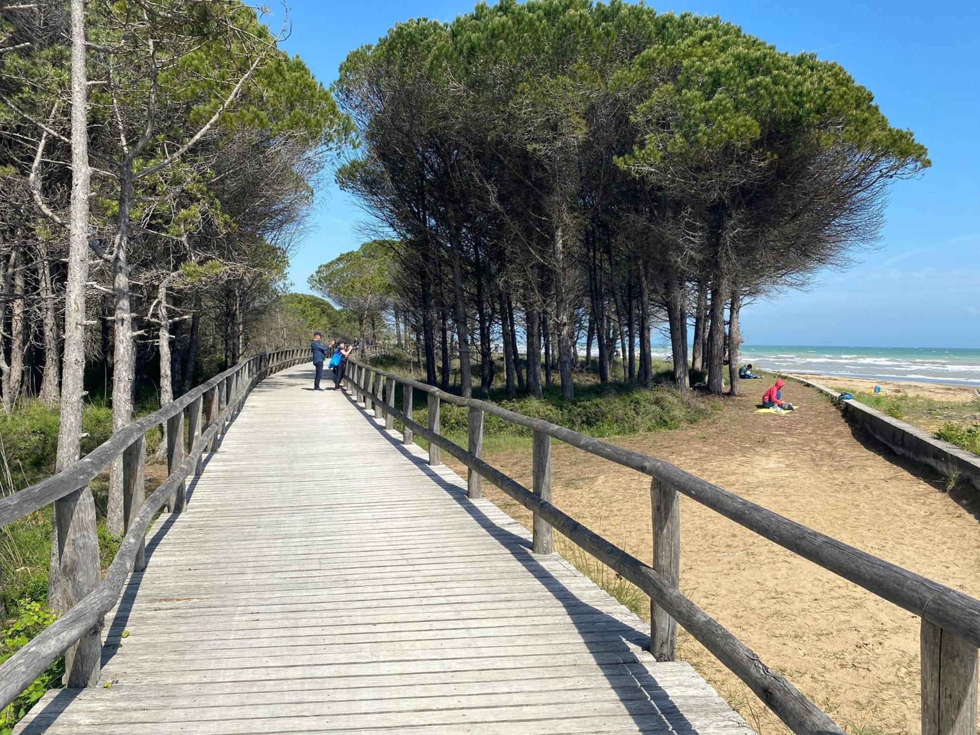 Lovely Flat Next To Lido Dei Pini - Beahost Appartamento Bibione