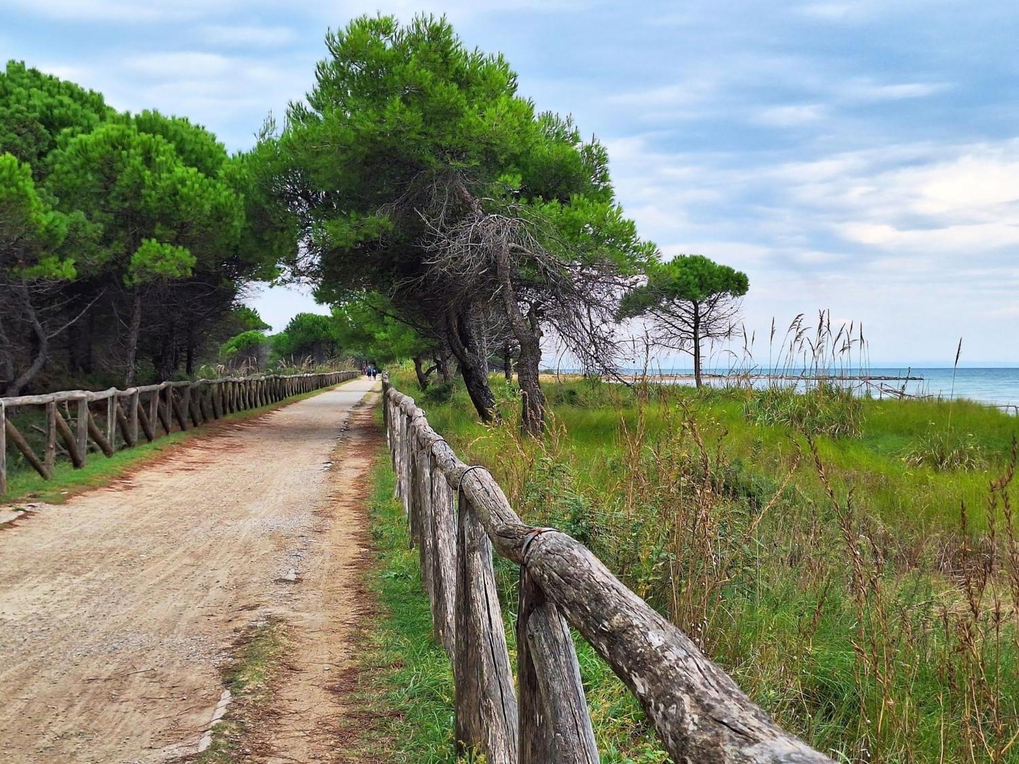 Lovely Flat Next To Lido Dei Pini - Beahost Appartamento